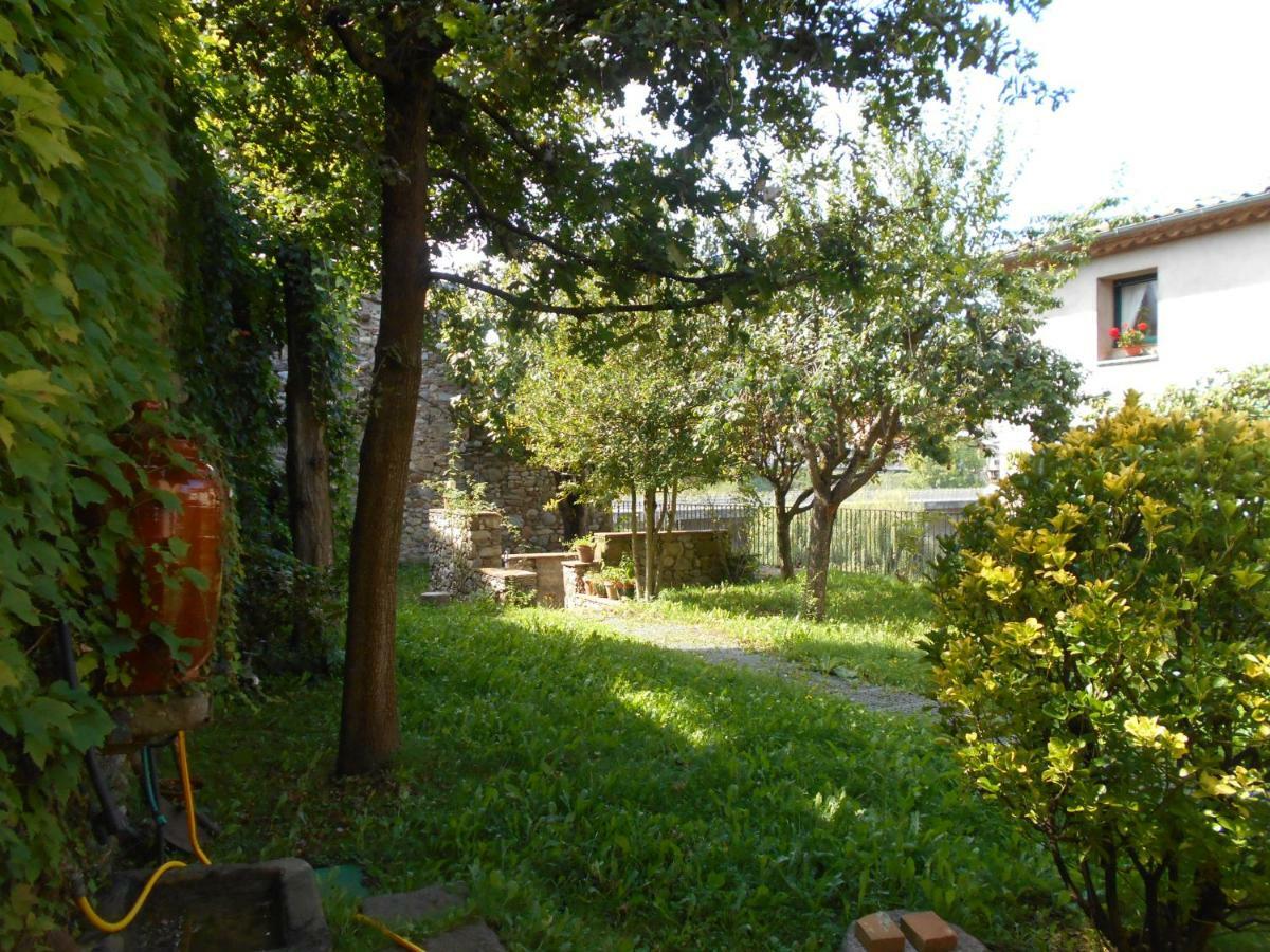 Ca'L Mossen Villa Sant Joan de les Abadesses Exterior foto